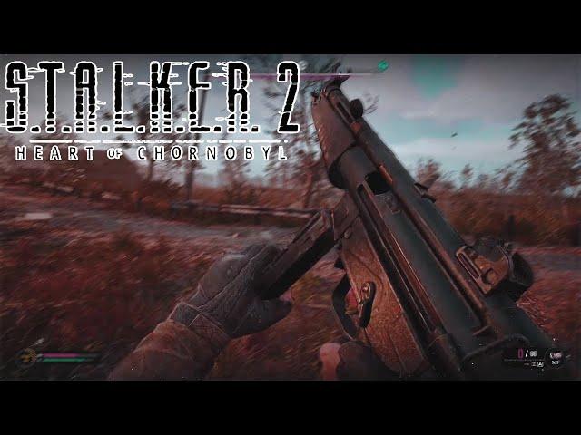 STALKER 2 Adventures On Veteran Difficulty