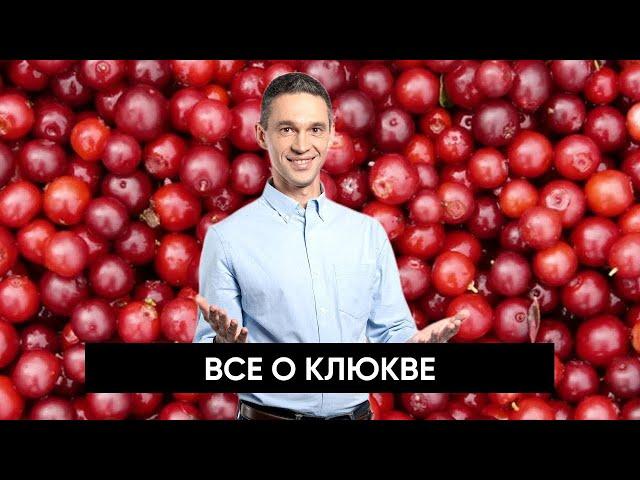 В ЧЕМ ПОЛЬЗА КЛЮКВЫ?