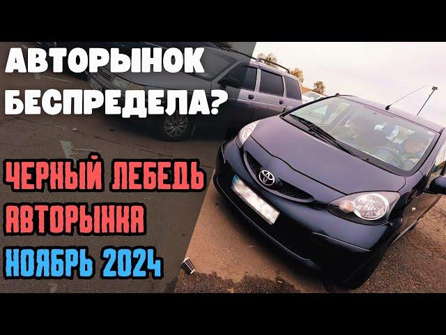 Авторинок свавілля ? Чорний лебідь Листопад 2024