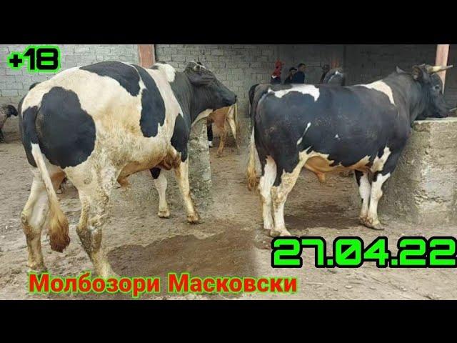 Молбозори Масковски нархи Бука гову мол 27 апреля 2022 г.