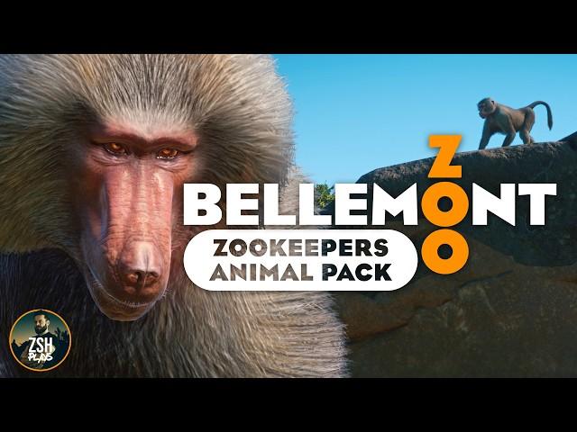 50 Baboons in 1 Habitat in Planet Zoo! | Zookeepers Animal Pack | Bellemont Zoo