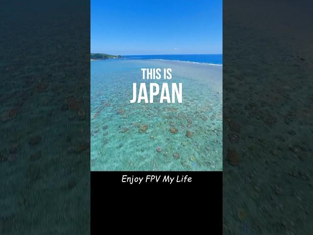 Let’s Enjoy FPV Life #fpv #fpvdrone #drone