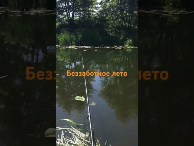 Беззаботное лето