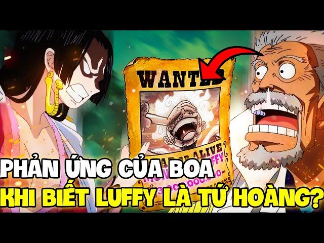 BOA, GARP SẼ RA SAO KHI BIẾT LUFFY LÀ TỨ HOÀNG?! | PHẢN ỨNG MỌI NGƯỜI KHI LUFFY TRỞ THÀNH TỨ HOÀNG