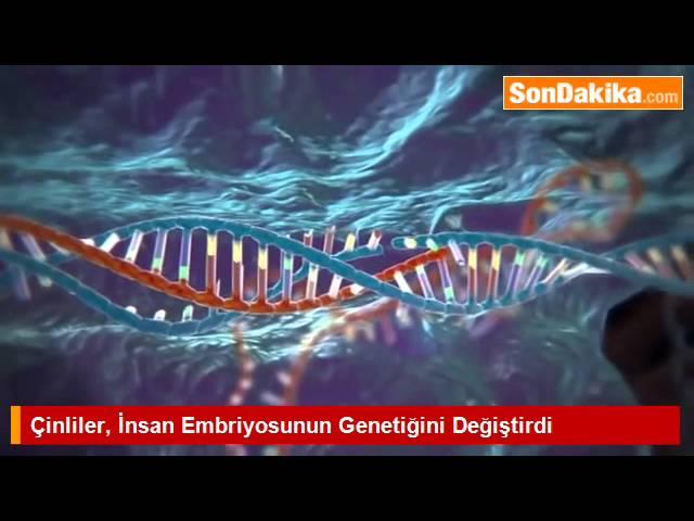 Çinliler, İnsan Embriyosunun Genetiğini Değiştirdi