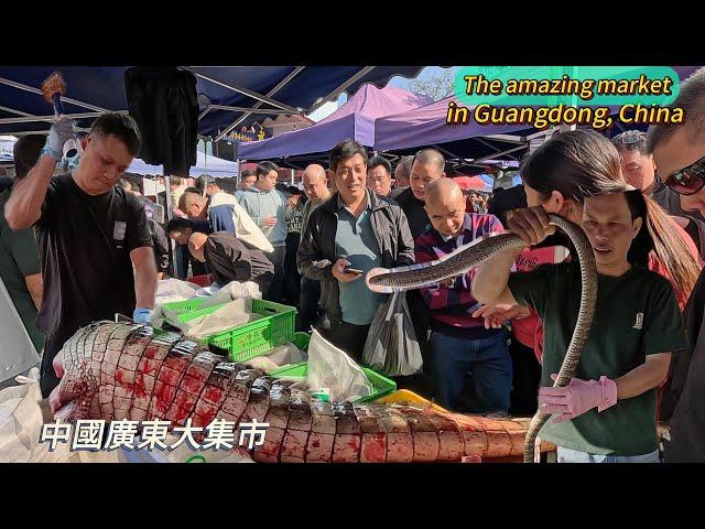 Amazing markets in Guangdong, China, rush to buy crocodile meat, snake meat, weird street food / 4k