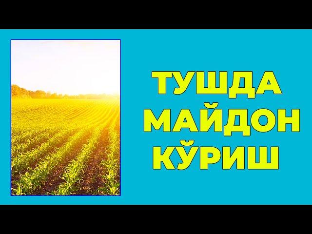 Туш табири - Тушда Майдон куриш