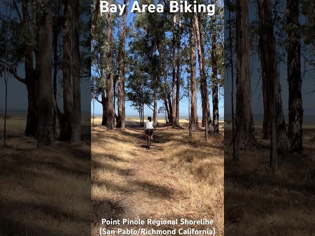 Point #Pinole Regional Shoreline San Pablo Richmond #California biking#BayArea#biking#recreation