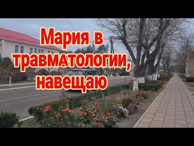 Мария в травматологии, навещаю в ЦРБ. Ремонт курятника. Работа Олега. Поболтушки, вспомним старое...