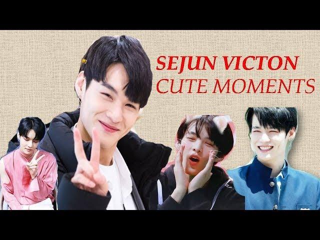 VICTON SEJUN cute/funny moments