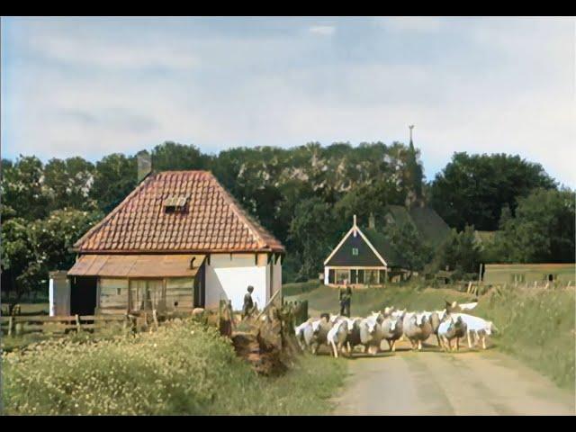 Texel, De Parel Der Waddenzee in 1943 in kleur! The beautiful Dutch island of Texel in 1943 in color