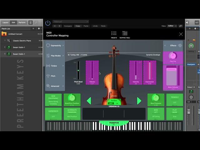 "SWAM" - Solution for Expression and Vibrato Problem || Preetham Keys