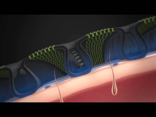 X-BIONIC® 3D-BionicSphere® System