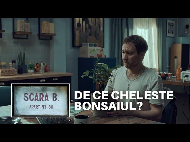 "Ce faci când îți chelește bonsaiul?" | Scara B