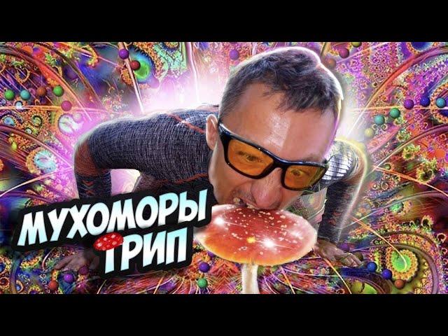 Мухоморы трип