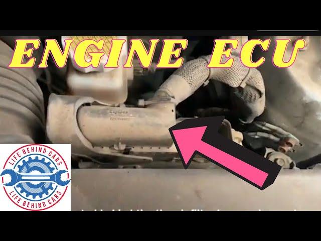 Kia Rio Petrol 2006 ECU Location