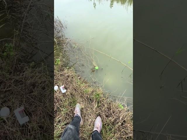 Girl Lucy Baby Cute Catching Fish #beautiful #girl #fishing #trending #shorts