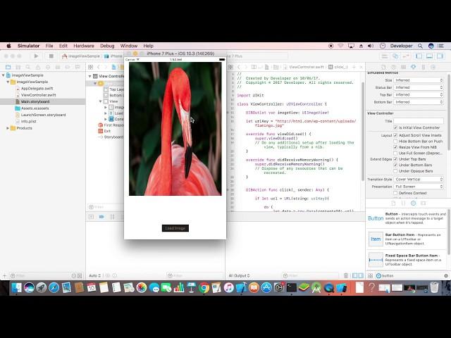 Show Image from Url in iOS Swift