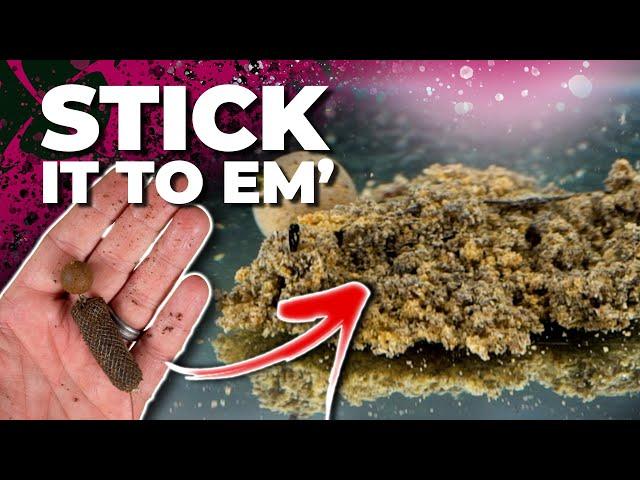 CREATE THE PERFECT CARP FISHING STICK MIX 