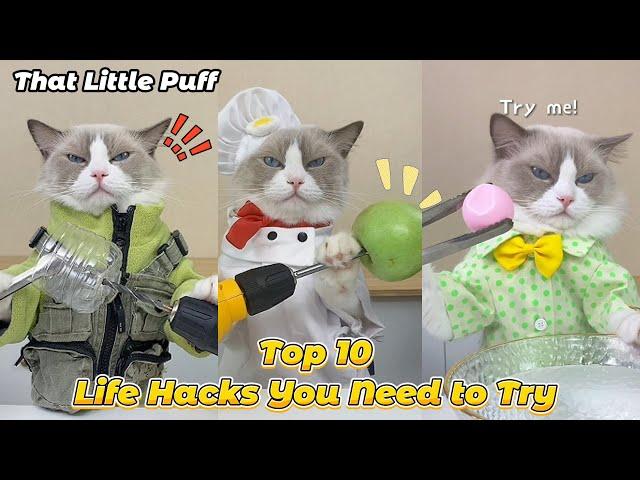 Top 10 Life Hacks You Need to Try🫵| That Little Puff