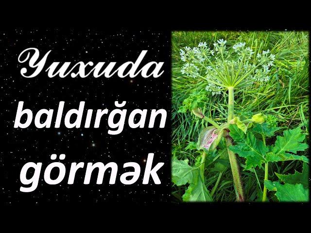 Yuxuda baldırğan görmək  Qısa #yuxuyozma - SƏSLİ YUXU YOZMALARI