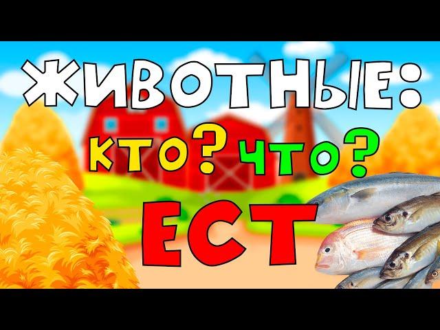 Что ЕДЯТ животные? Кто Что Ест? Развивающее видео для детей