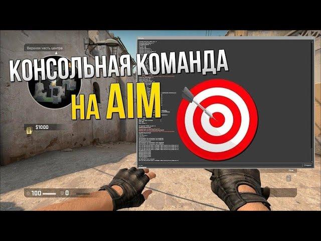 Консольная команда на Aim в CS GO! Попадай только в голову! Новый способ троллинга!