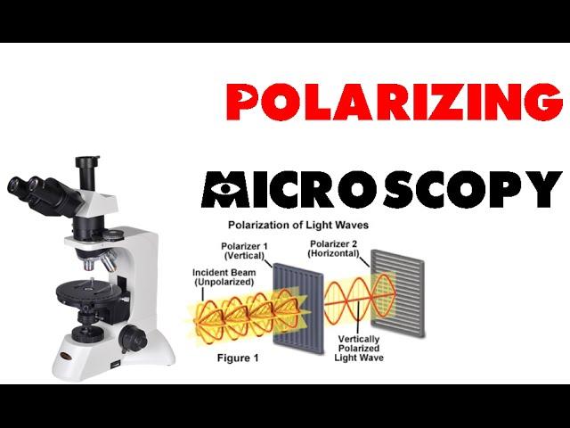 Polarizing microscopy