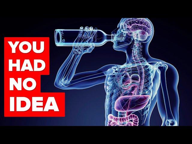 What Happens To Your Body When You Start Drinking Alcohol (Minute by Minute)