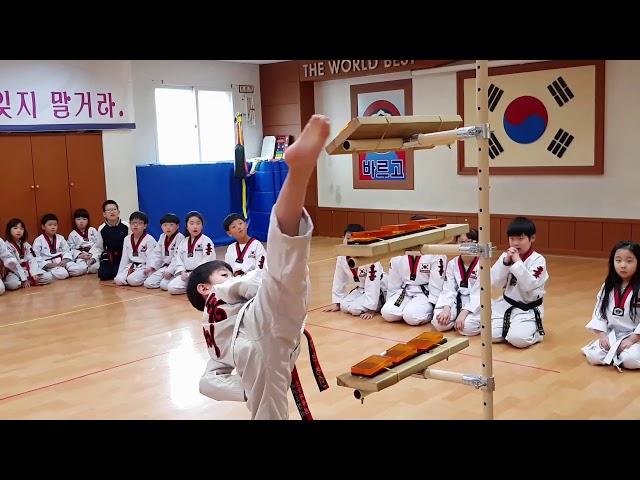 호동태권도 도구활용교육 TATOOL TAEKWONDO