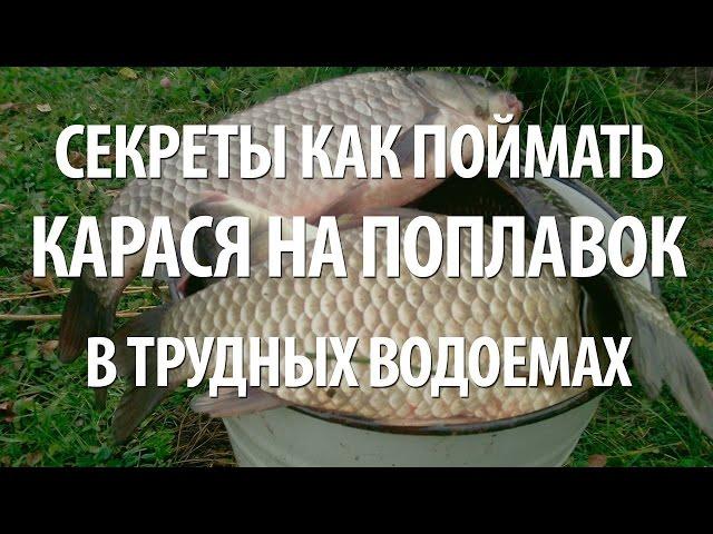 СЕКРЕТЫ ПОПЛАВОЧНОЙ РЫБАЛКИ на КАРАСЯ. ЛОВЛЯ РЫБЫ КАРАСЬ в ТРУДНЫХ ВОДОЕМАХ