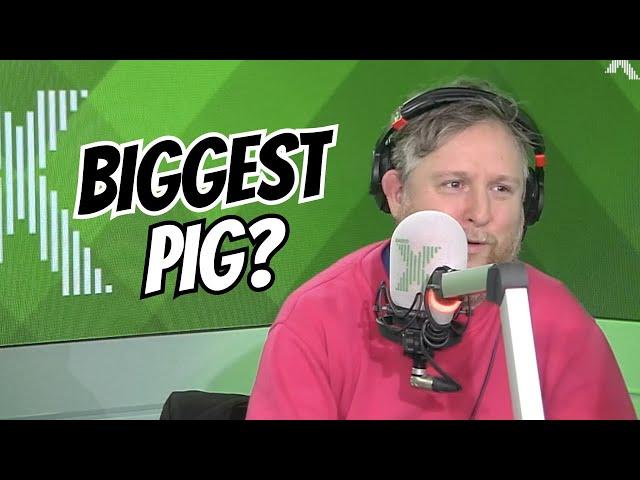 what's the biggest pig Tim Key can imagine?