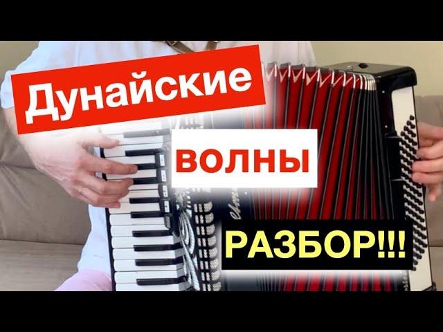 Дунайские Волны - Разбор как играть с нуля на Аккордеоне - Бесплатный урок Аккордеона