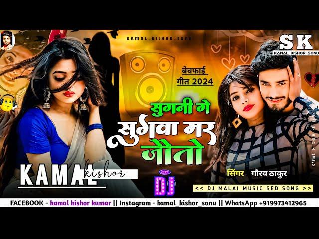 Sugni Ge Sugwa Mar Jaito dj remix | सुगनी गे सुगवा मर जैतो dj song | gaurav Thakur new sad song 2024