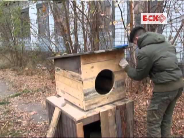 Приюту для беспризорных животных в Бресте требуется помощь волонтеров