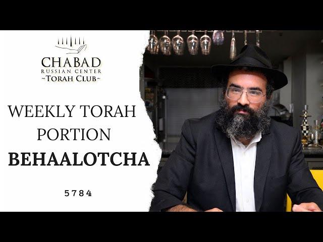 Weekly Torah Portion "Behaalotcha" /  rabbi Shmuel Kravitsky / Chabad Russian Center Torah Club