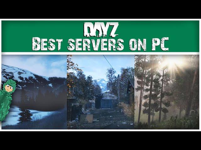 The Absolute BEST PC Servers on DayZ | 2025