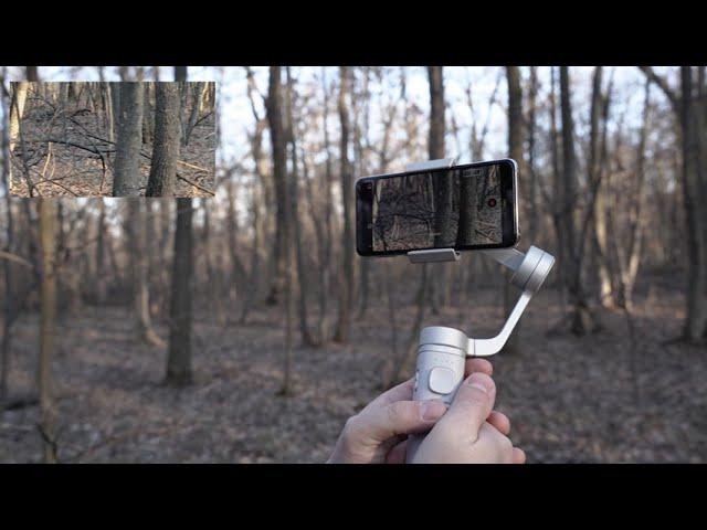 Testing outside the new FUNSNAP Capture π Foldable Gimbal Stabilizer