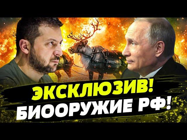  Зима РЕШИТ ВСЁ! Боевые ОЛЕНИ! Последний ШАНС НА ПОБЕДУ! Путин ПРОВАЛИТСЯ, или...