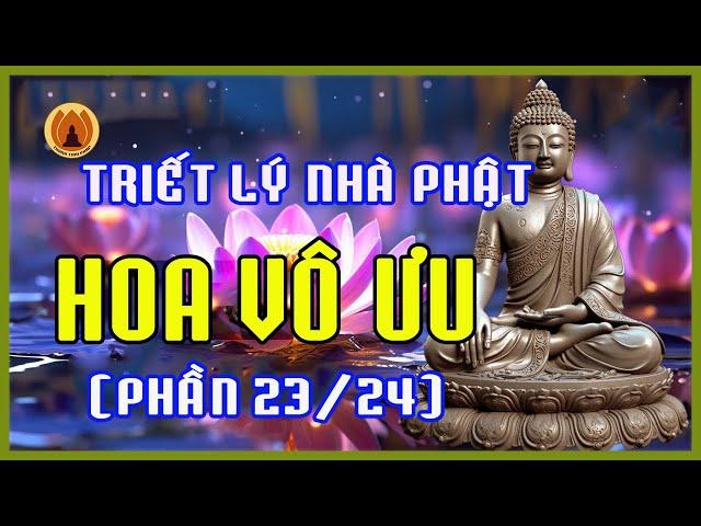 Hoa Vô Ưu (PHẦN 23/24) - Những tuyệt phẩm mang triết lý nhà Phật