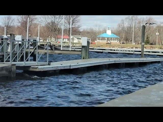 seatrial at Anchor Marina NE MD 3-14-23 ... slight nor'easter