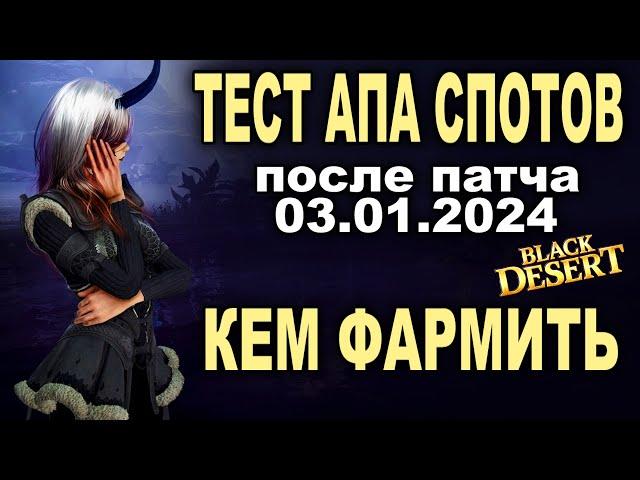 Тест спотов после апа 03.01 в БДО. Кем фармить серебро в 2024  (BDO - Black Desert)