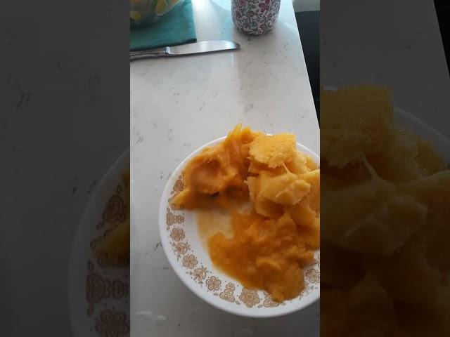 How to make Ottawa's best mango yogurt #ottawa #food