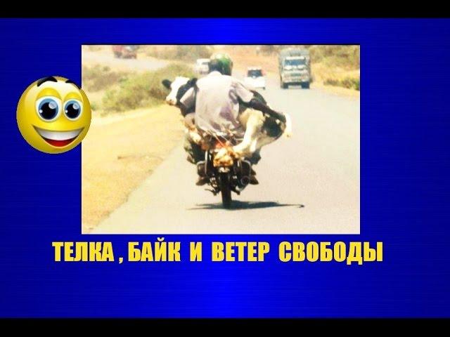  ржач ! АВТОПРИКОЛЫ # 12 !!! Смешные демотиваторы