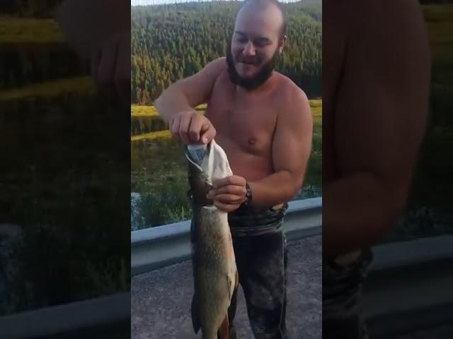 Drinking a beer from a giant pike fishes mouth #fishing #montana #beer #spearfishing #diving #free