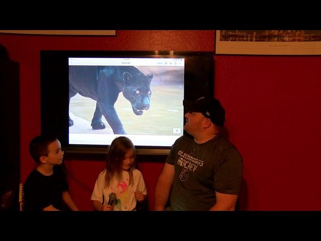 Gestalt Orginal Production - Bearizona Review June 2018