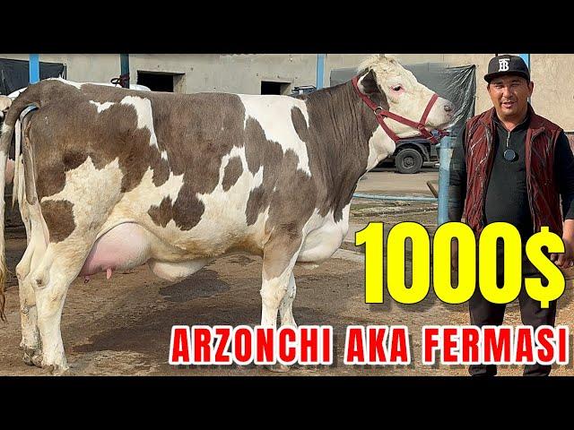 ARZONCHI AKA 12mln600mingdan BOSHLANADI YANGI PARTIYA GO'ZAL SIGIRLA KELDI.