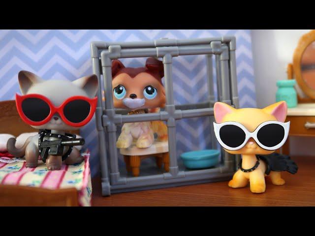 LPS: Cat-Napped || Film