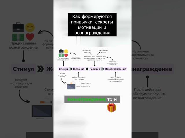 Как формируются привычки: секреты мотивации и вознаграждения #психология #бизнестренинги #инвестиции