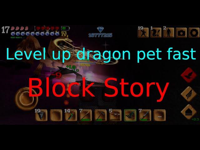 How to Level Up Dragon pet quickly? | Block Story